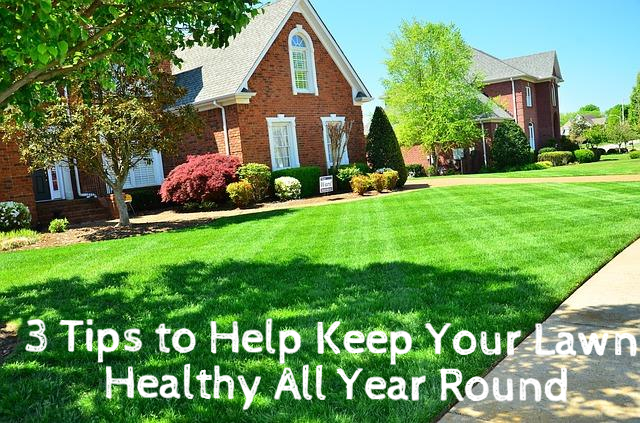3 Tips to Help Keep Your Lawn Healthy All Year Round
