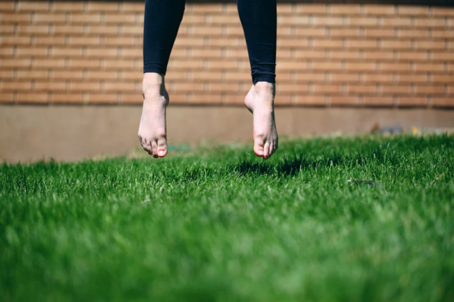 Care Tips for Maintaining Your Lawn