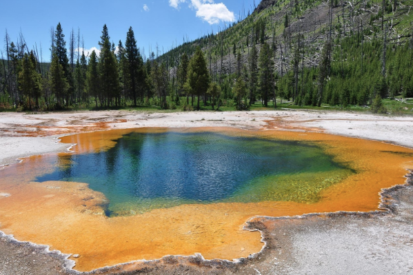 Best Nature Reserves in the US to Visit on Vacation
