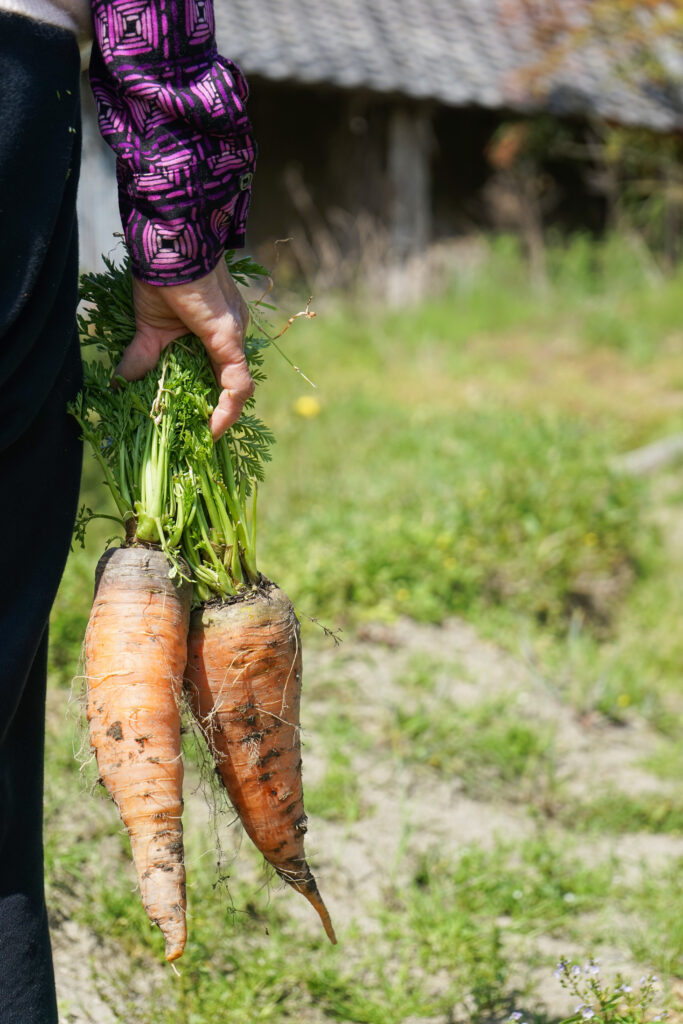 3. Heaviest Carrot