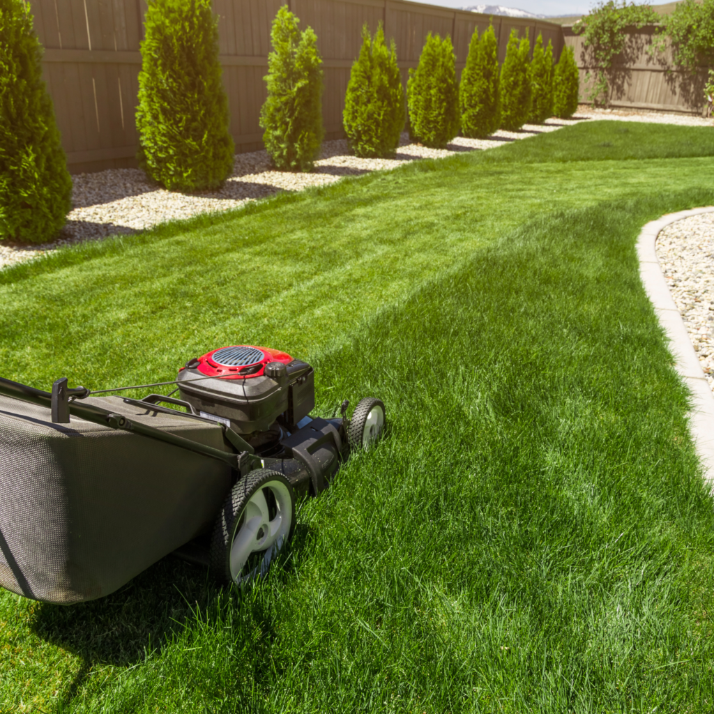 11 Things You Should Never Do to Your Lawn