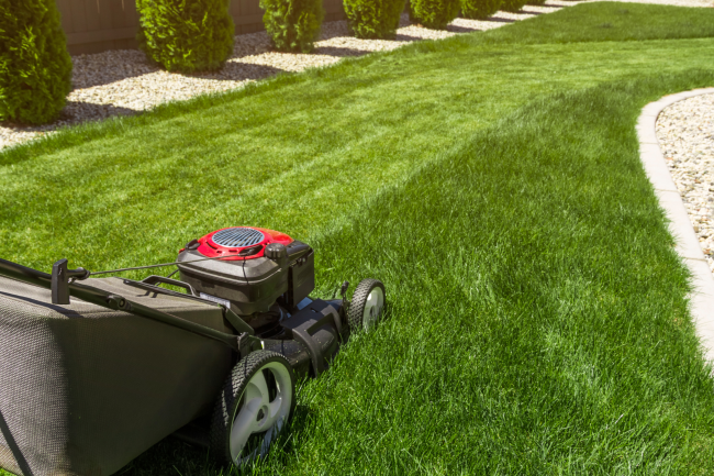 11 Things You Should Never Do to Your Lawn