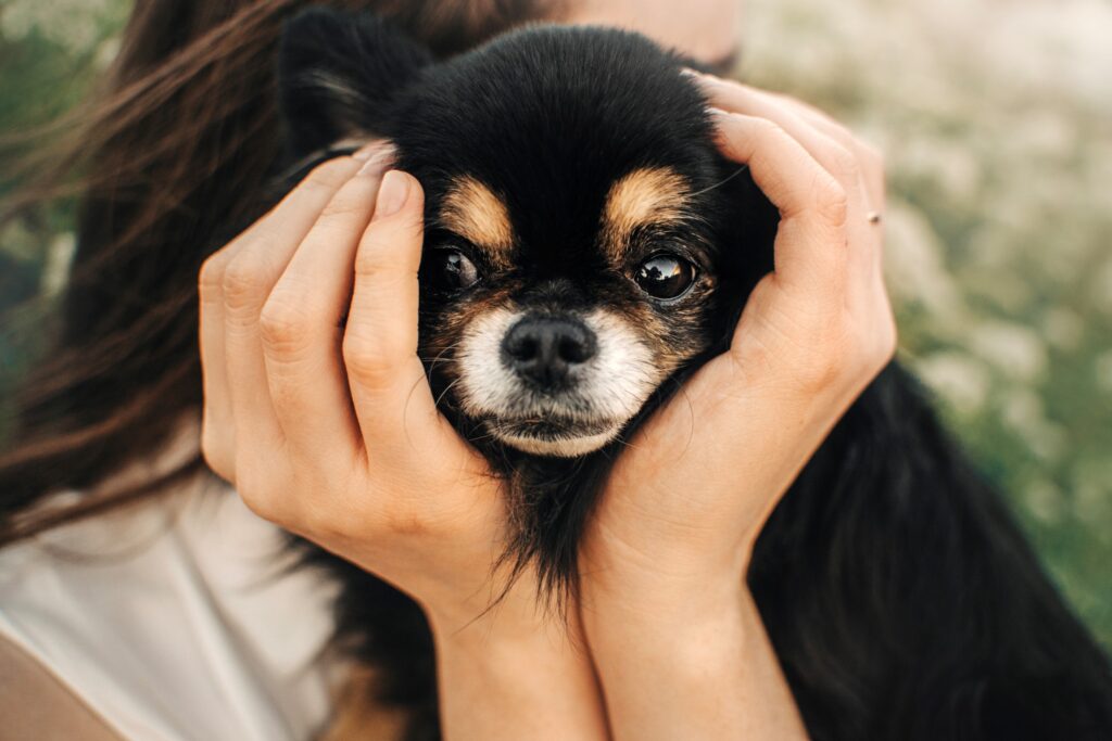 11 Pets That Are Great For Your Mental Health