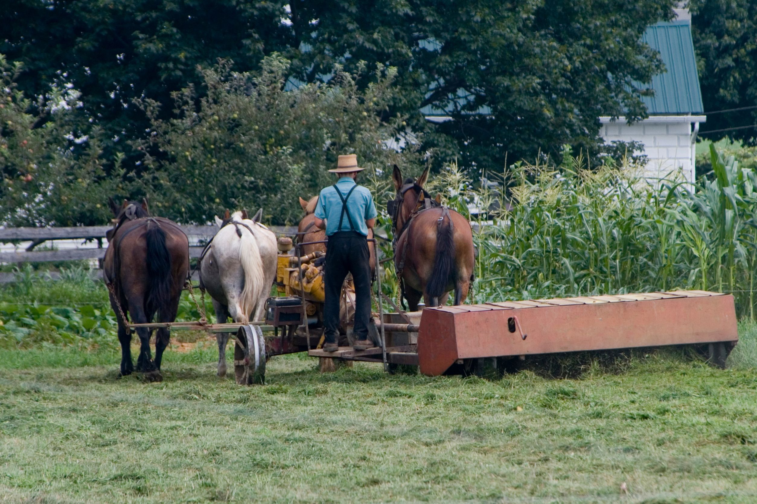 All Amish People Are Farmers