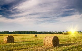 You Can Be a Rural Land Millionaire: Here Are 10 Ways to Buy Rural Land