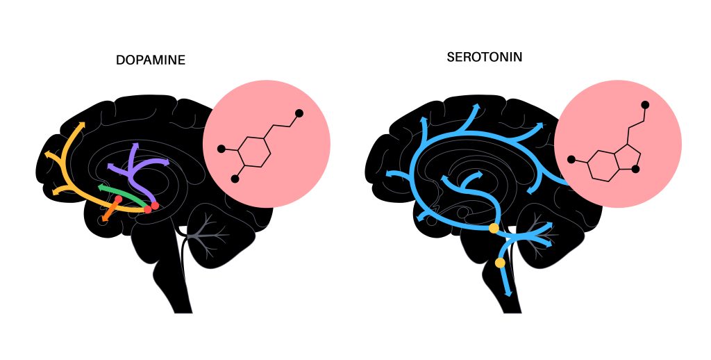 Serotonin Syndrome: Exposing the Unspoken Mental Health Danger Lurking in Your Brain