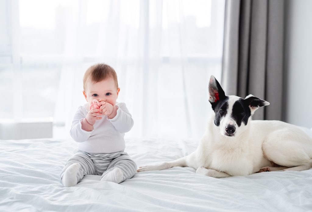 Dogs and Kids: How to Prep Your Pup for a New Baby