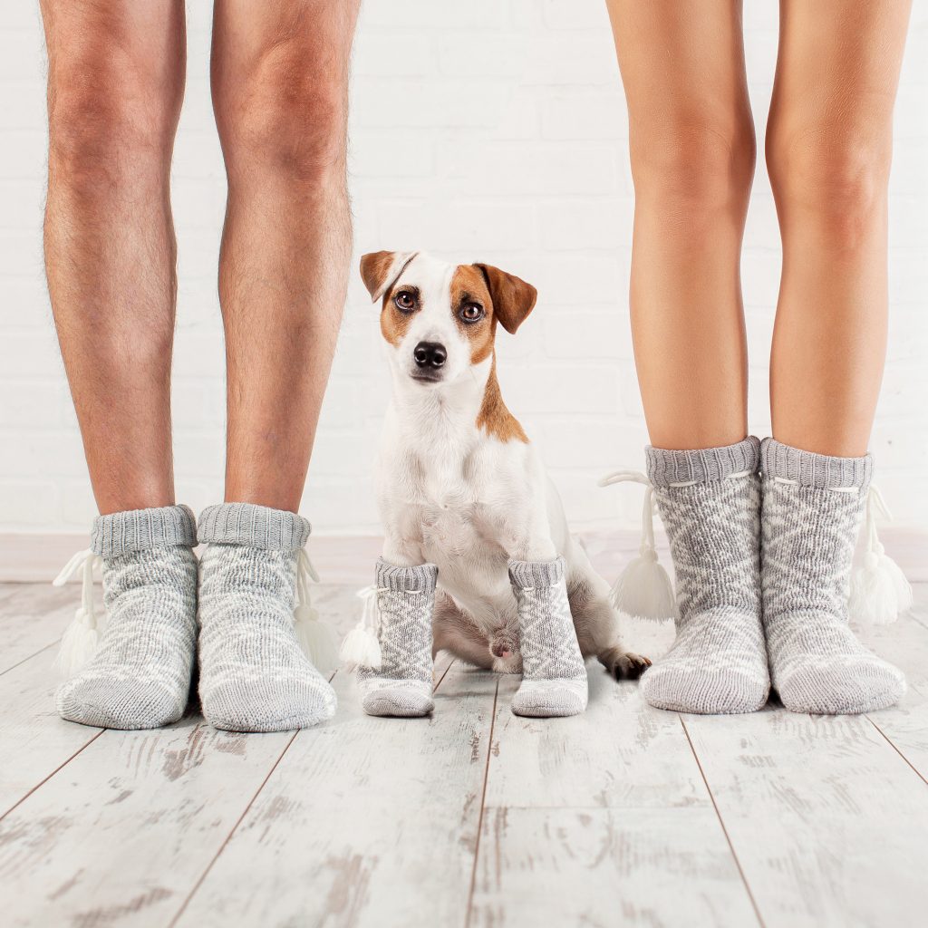 Man, female and dog in socks. Warm clothing family home