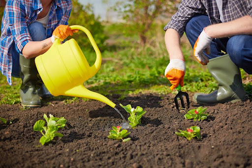 3 Low-Cost Springtime Activities You Should Do With Your Spouse