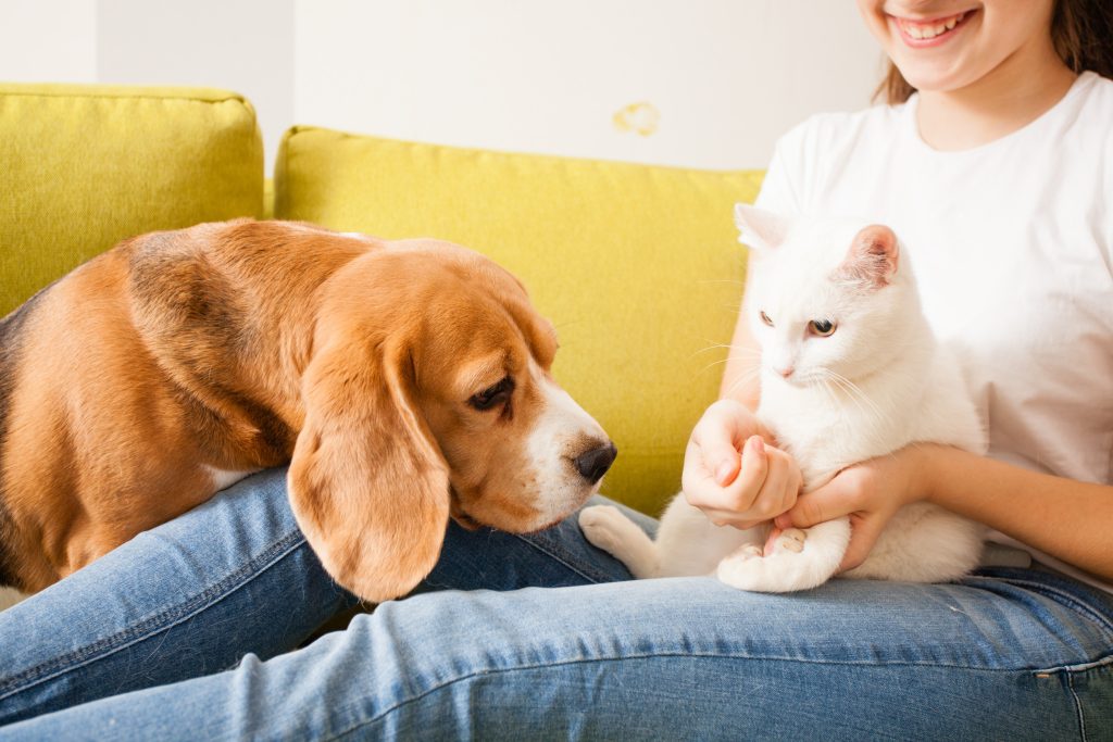 celebrity pet names