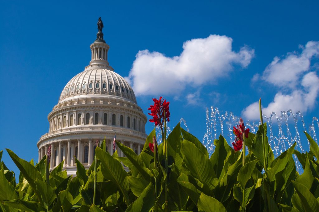 Federal Review
