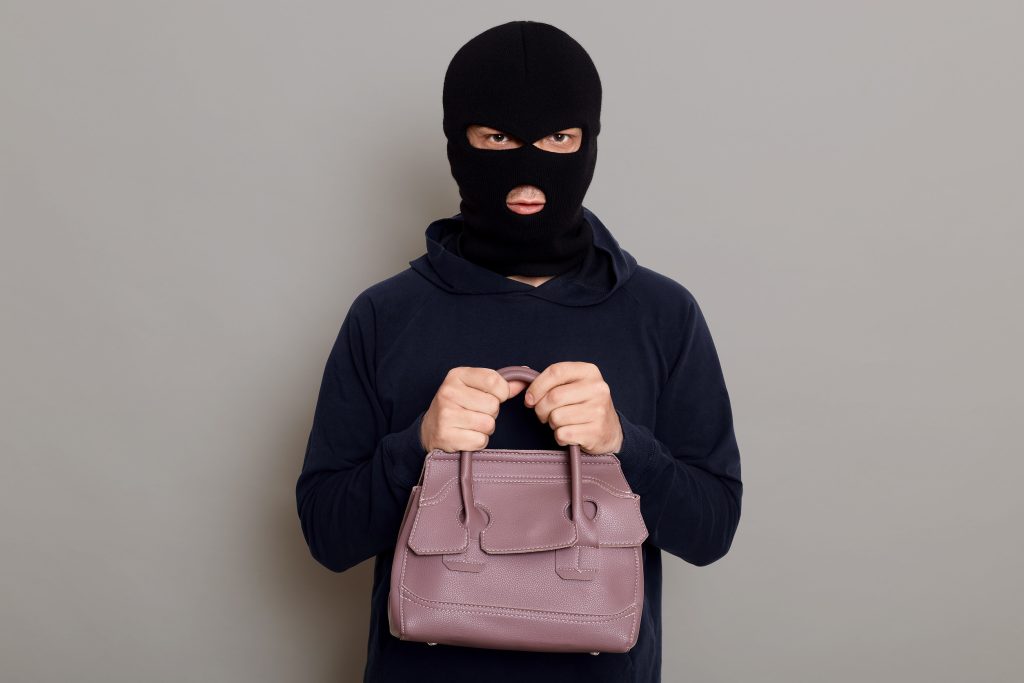 Purse That Could Invite Theft