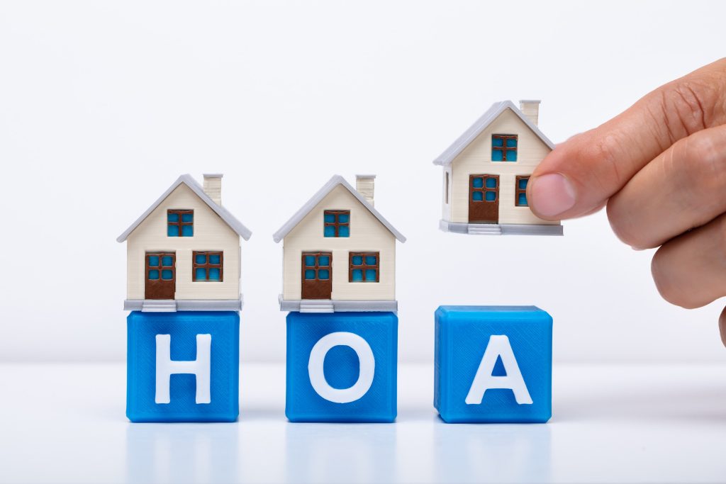 petty HOA rules